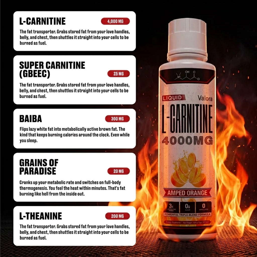Liquid L-Carnitine 4000MG