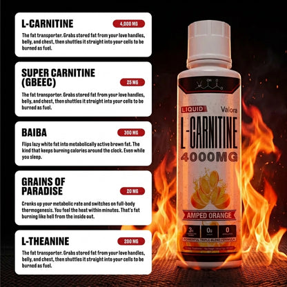 Liquid L-Carnitine 4000MG