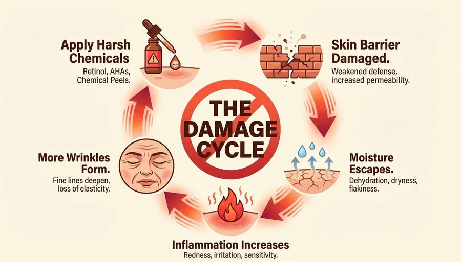 Before and after using Tallow and Honey Balm