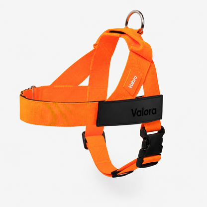 Valora™ No-Pull Dog Harness