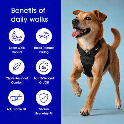 Valora™ No-Pull Dog Harness