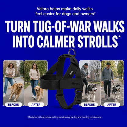 Valora™ No-Pull Dog Harness