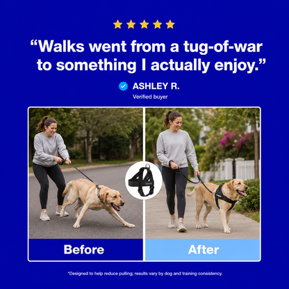 Valora™ No-Pull Dog Harness