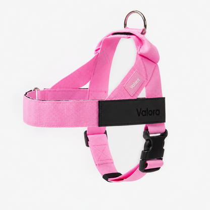 Valora™ No-Pull Dog Harness