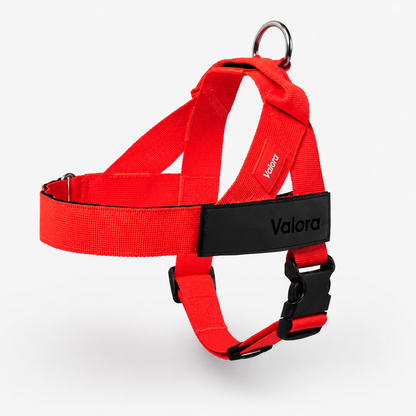 Valora™ No-Pull Dog Harness