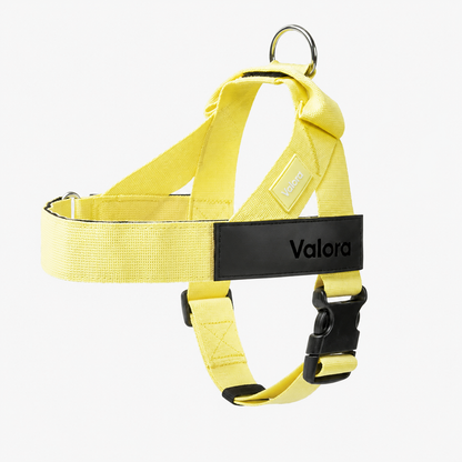 Valora™ No-Pull Dog Harness